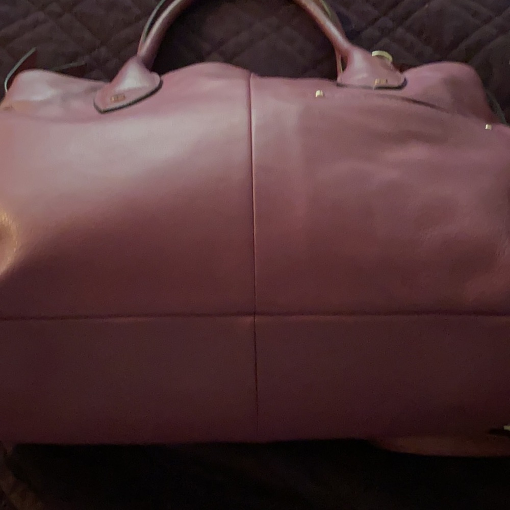Carried - Picture 5 of 5